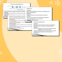 Презентация по биологии. 10 класс. Тема: «Ферменты – биологические катализаторы».