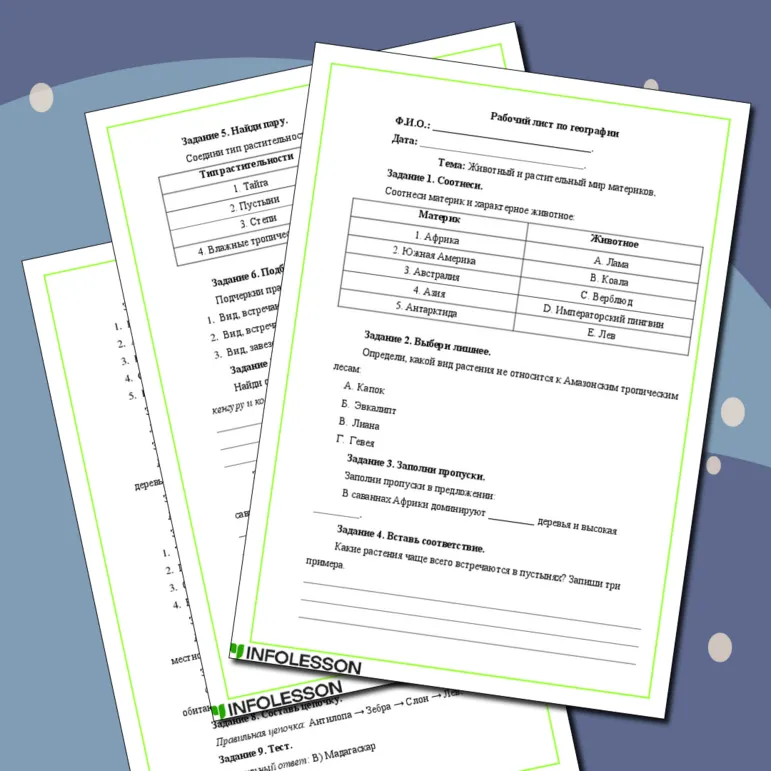 Рабочий лист по географии на тему: 