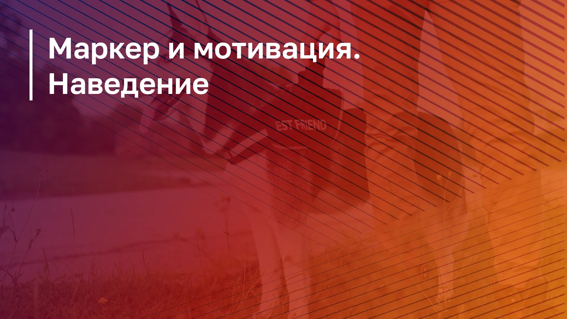 Обложка курса