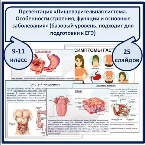 Презентация 