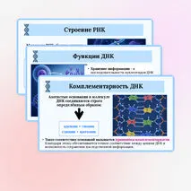 Презентация по биологии «Нуклеиновые кислоты. АТФ» для 10 класса