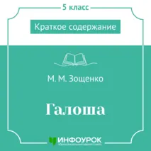 М.М. Зощенко «Галоша» — краткое содержание