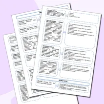 Задание 22 ЕГЭ русский язык - 2025 теория