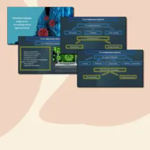 Комплект (Презентация + конспект) урока по информатике на тему «Вирусы и антивирусные программы», 7 класс.
