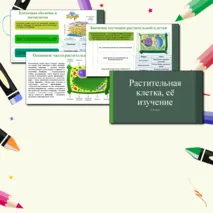 Презентация по теме: «Растительная клетка, её изучение». 6 класс