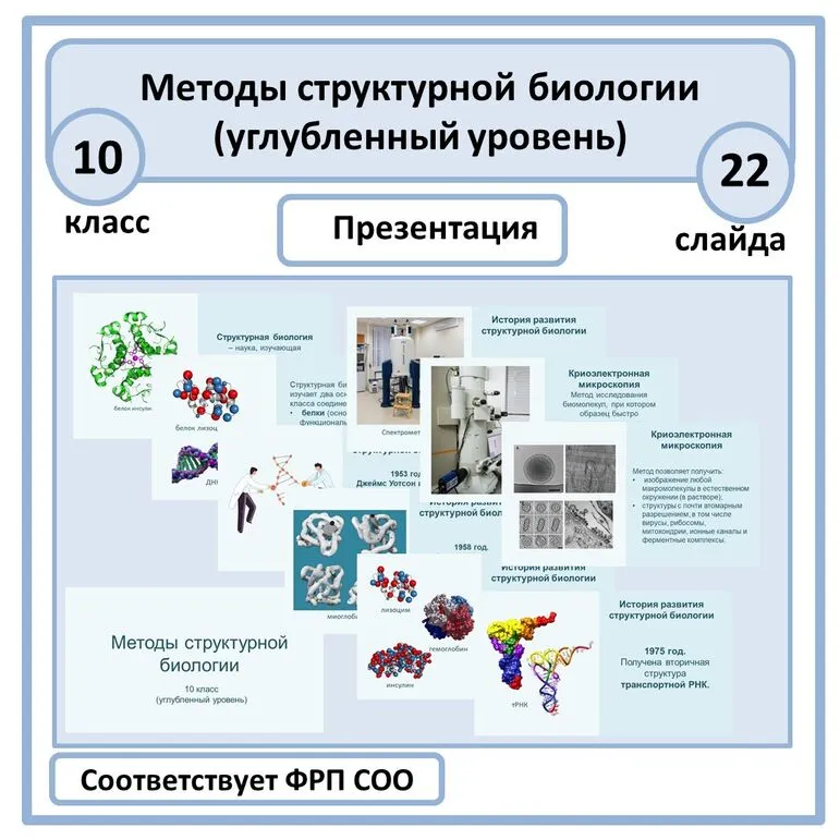 Презентация «Методы структурной биологии» 10 класс (углубленный уровень)