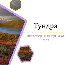 Презентация 