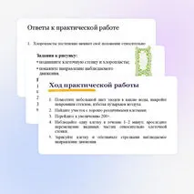 Презентация 