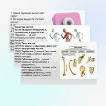 Презентация Опорно-двигательная система. Состав, строение и рост костей