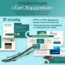 Презентация «Тип Хордовые» к учебнику по биологии для 7 класса- Пасечник В.В., Суматохин С.В. и др.