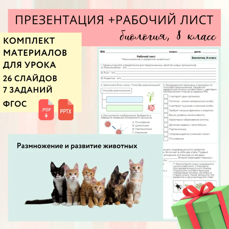«Размножение и развитие животных», 8 класс