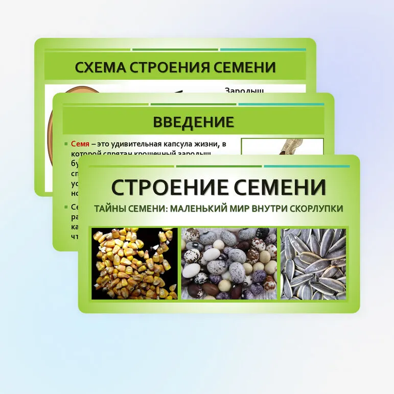 Презентация «Строение семян»