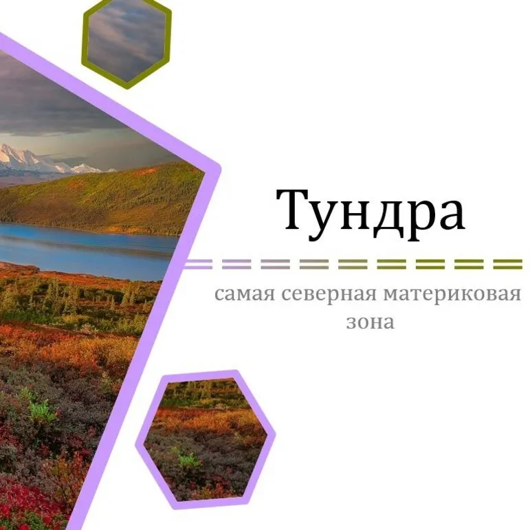 Презентация 
