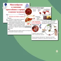 Презентация по биологии. Многообразие и значение простейших в природе и жизни человека.