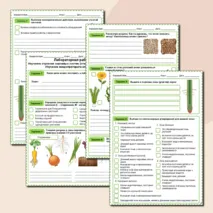 Биология. 6 класс. 