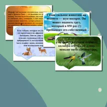 Речевые облачка 