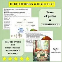 Презентация 