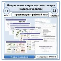 Комплект (презентация + рабочий лист) 