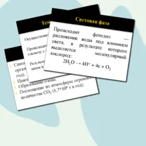 Презентация по биологии на тему 