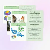Презентация по биологии 