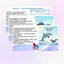 Презентация «Всемирный день китов и дельфинов»