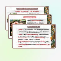 Презентация 