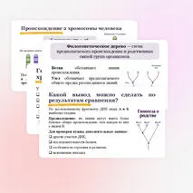 Презентация 