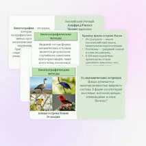 Презентация по биологии 