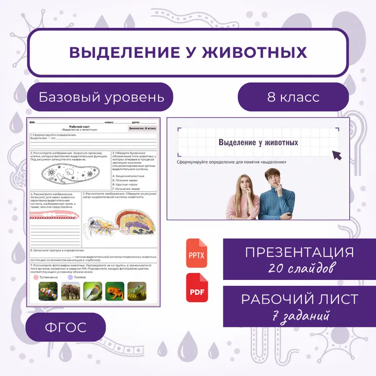 «Выделение у животных», 8 класс