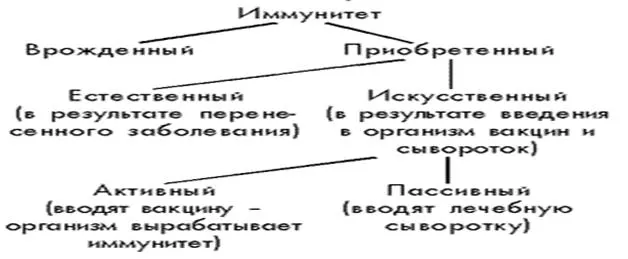 http://bio.1september.ru/2000/06/6.gif