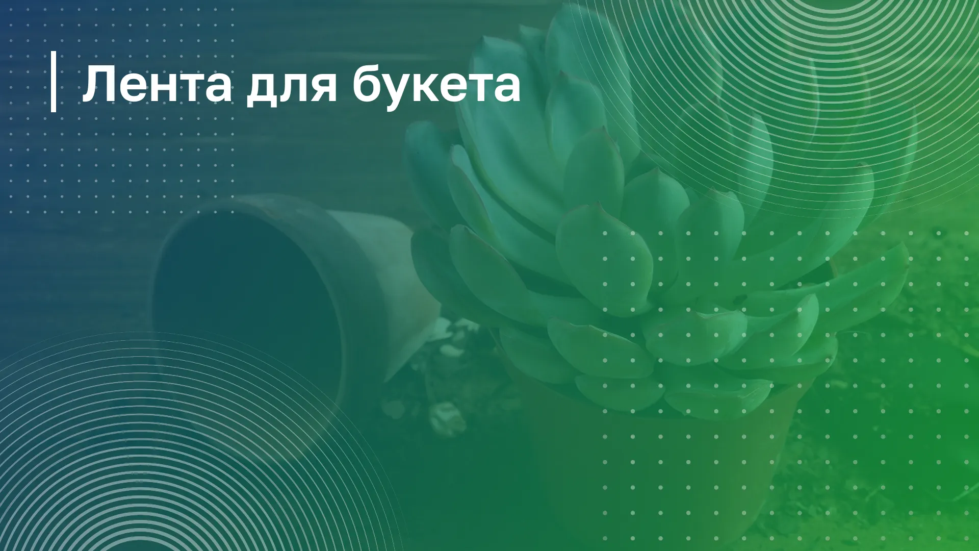 Обложка курса