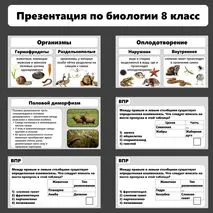 Презентация по биологии «Формы размножения животных»