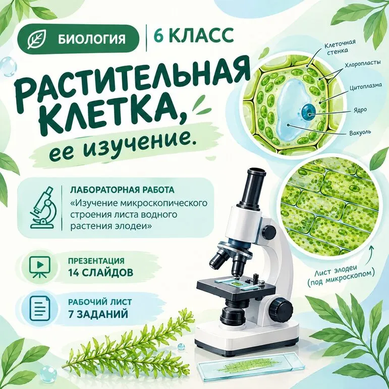 Презентация + рабочий лист «Растительная клетка, её изучение»