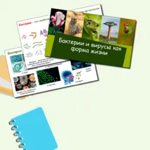 Презентация 