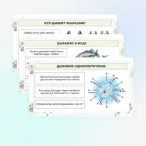 Презентация по биологии «Дыхание животных»