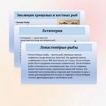 Презентация по биологии «Хрящевые и костные рыбы» 8 класс