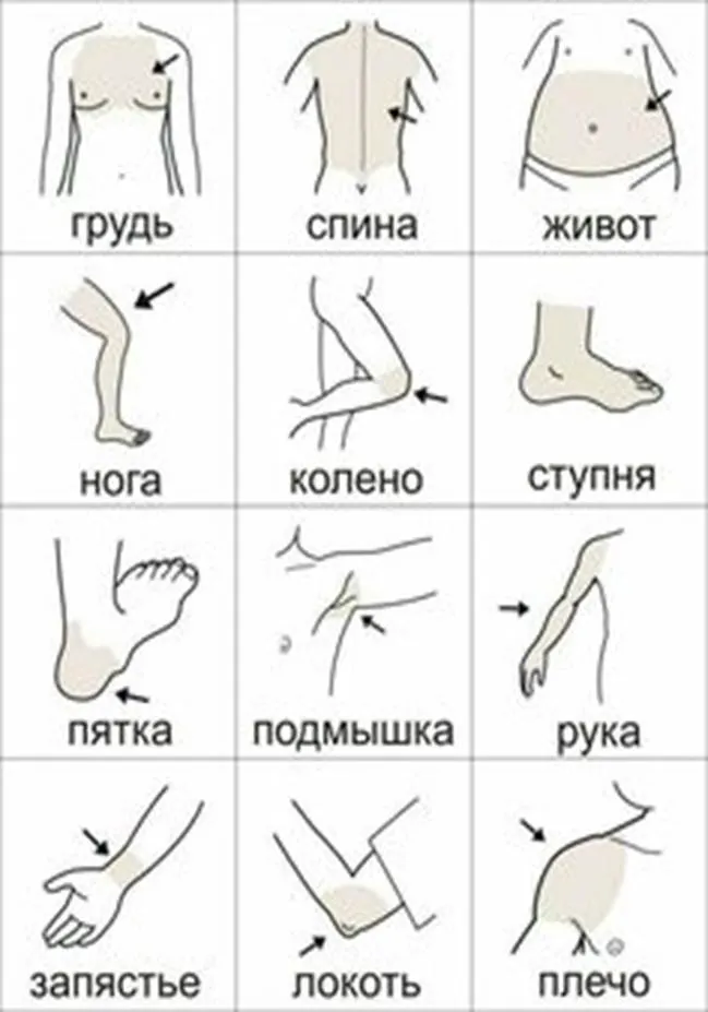 Пин содержит это изображение: 