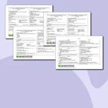 Карточки по теме: «Уникальные памятники культуры России: Кижи, памятники Великого Новгорода»