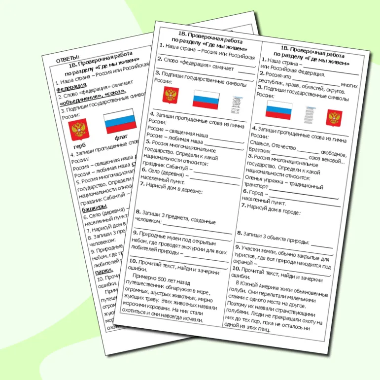 Проверочная работа по окружающему миру по разделу 