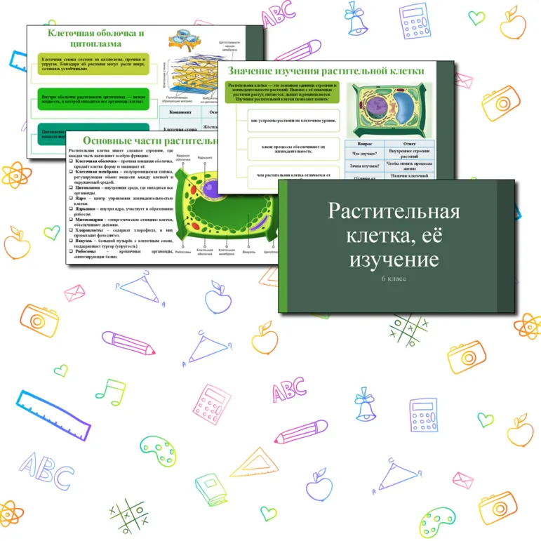 Презентация по теме: «Растительная клетка, её изучение». 6 класс