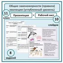 Презентация + рабочий лист по биологии 