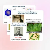 Презентация по биологии 