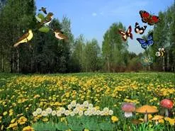 семинар