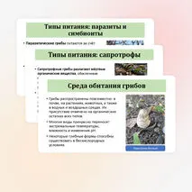 Презентация по биологии «Общая характеристика грибов» 7 класс