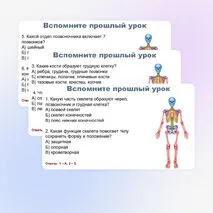 Презентация по биологии (9 класс) 