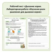 Комплект (презентация + рабочий лист) 