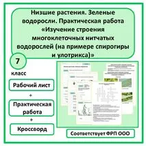 Рабочий лист по биологии 