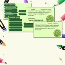 «Растительные ткани, их функции», 6 класс