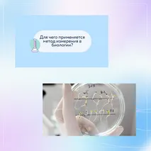 «Измерения в биологических исследованиях», 5 класс