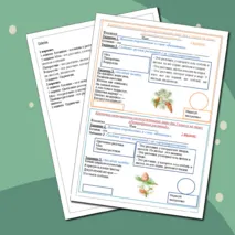Карточка-пятиминутка по окружающему миру в 3 классе на тему: «Разнообразие растений».